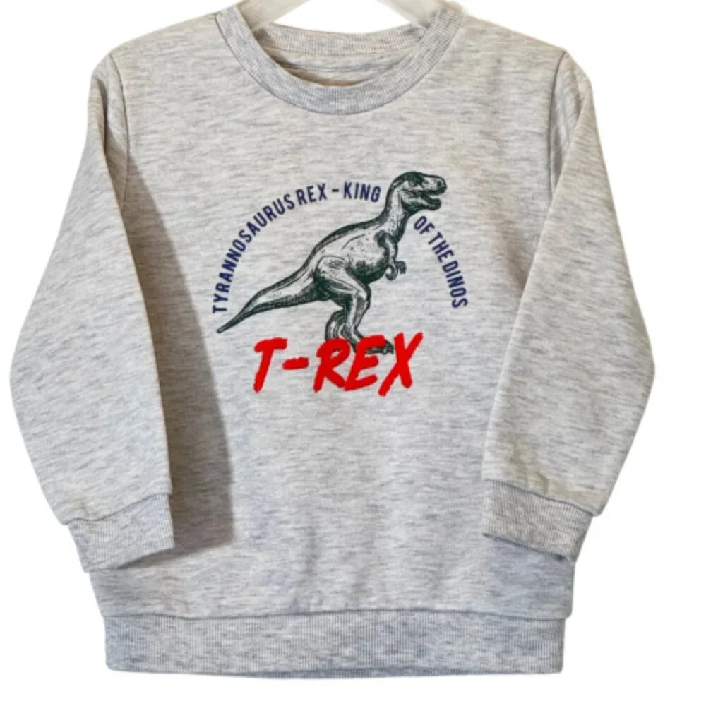 Boy's Sweatshirts Set of 3 Size 2-3Y - Picture 6 of 13